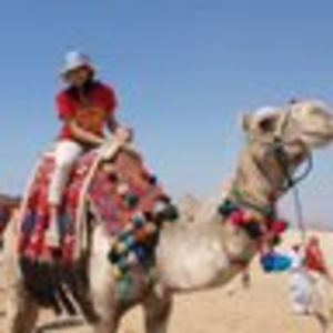 Meet your Posher, Maia